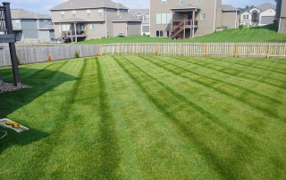 Weekly Lawn Maintenance Service