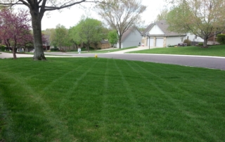 landscape company in Raytown MO landscape company in Raytown MO