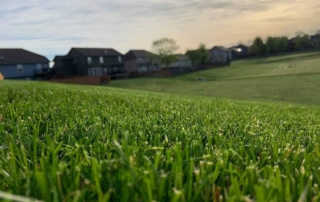 landscape company in Leawood KS